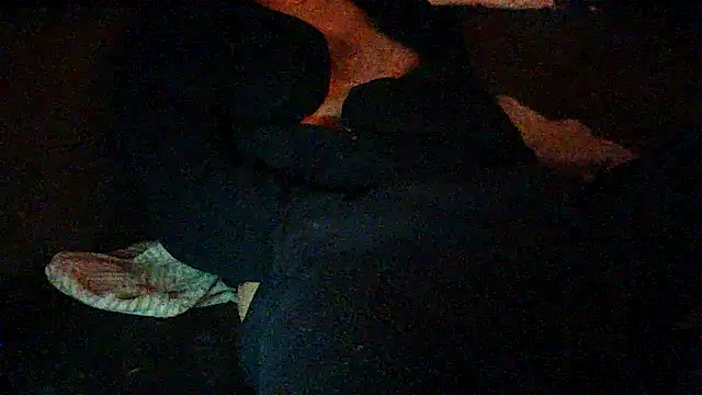 kiksnap-meistro5 online show from 26, 4, 2026