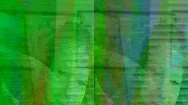 missicute online show from 2, 4, 2026