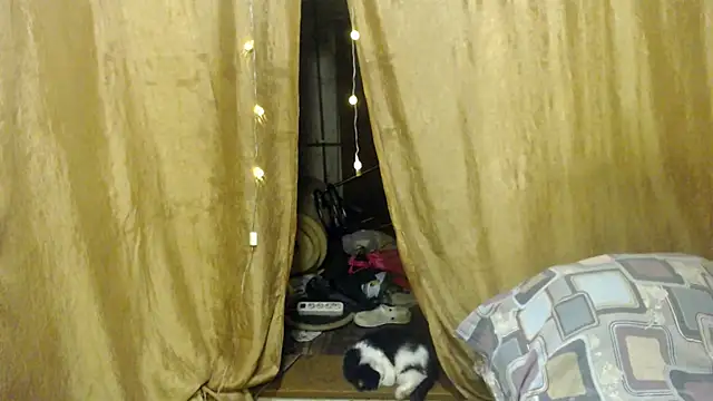  Estelitta 5 online show from 17, 1, 2025