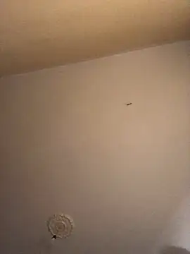 Snapshot of ClatteryPrexy chatting on 16, 12, 2024 ClatteryPrexy online show from 16, 12, 2024