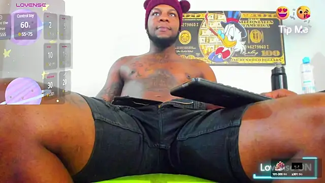 wotton 17 online show from 21, 3, 2025