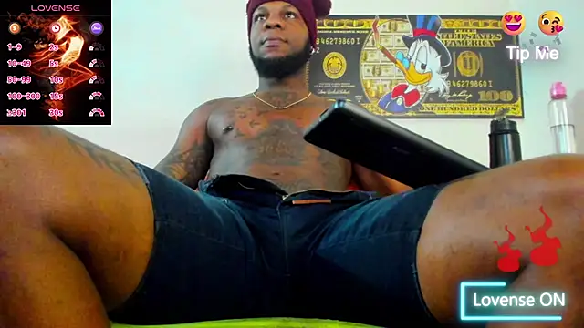 wotton 17 online show from 17, 11, 2025