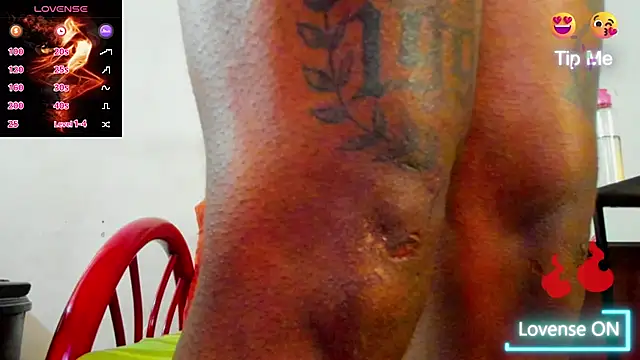 wotton 17 online show from 13, 12, 2025