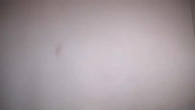 Snapshot of Osiiriis chatting on 12, 2, 2025 Osiiriis online show from 12, 2, 2025