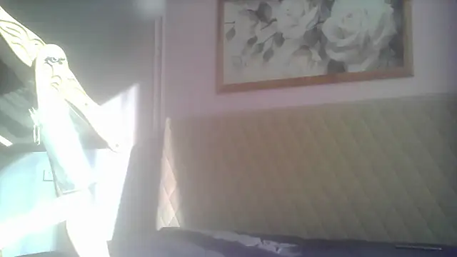 SunElizabeth online show from 12, 6, 2026