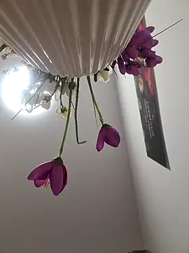 CoupleHot 69 DreamSex online show from 6, 3, 2026