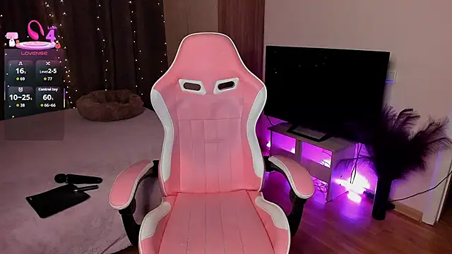 Jane Paws online show from 29, 11, 2025