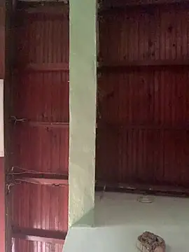 SOYMRX online show from 4, 1, 2025