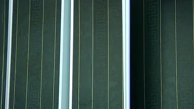 SophiaVilner online show from 8, 4, 2026