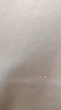 Snapshot of hotpussy-11 chatting on 31, 1, 2025 hotpussy-11 online show from 31, 1, 2025