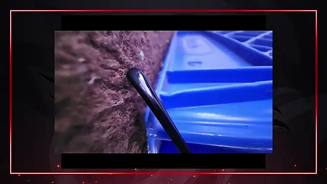 AriellaTaylor online show from 11, 12, 2024