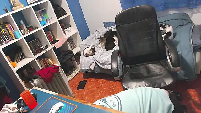 ravingr4d4 online show from 2, 2, 2026