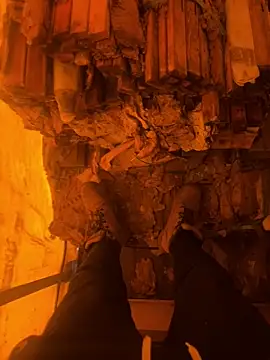 Snapshot of cussy007 chatting on 16, 12, 2025 cussy007 online show from 16, 12, 2025