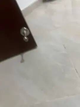 Naughty arabs online show from 7, 1, 2025