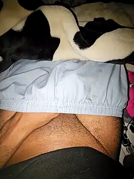 Ali rz94 online show from 13, 12, 2025