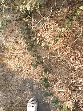 Ajith mvi online show from 21, 3, 2026