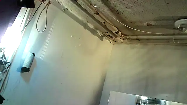 bigdickmtlqc online show from 2, 3, 2025