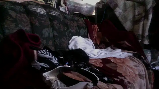 Phelyxx elgato online show from 9, 12, 2024