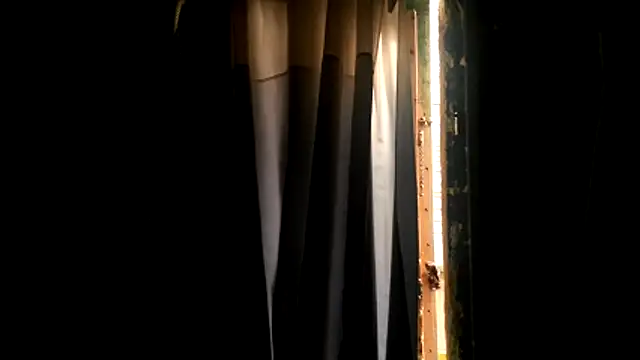 Haztogo4me online show from 18, 4, 2026