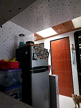 Mariam Gomezxxx online show from 6, 10, 2025