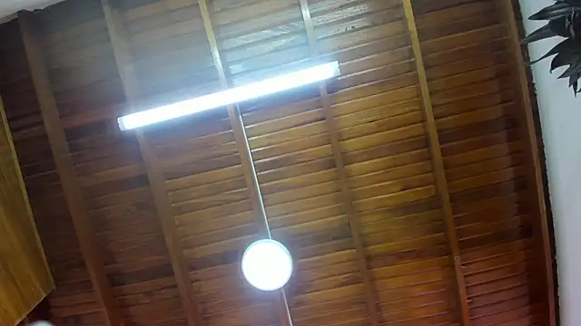 Levy Steve online show from 26, 11, 2025