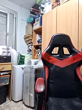 Javier bear online show from 6, 11, 2025