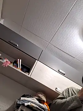 Javier bear online show from 18, 12, 2025