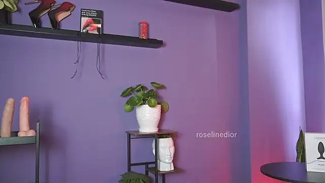 roselinedior online show from 19, 5, 2026