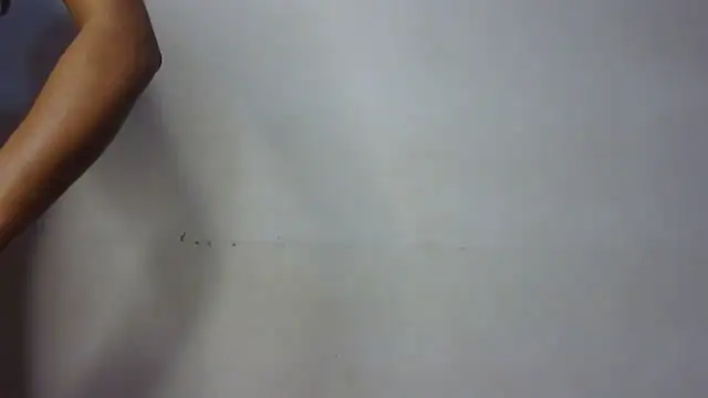 Snapshot of seema_raani chatting on 24, 1, 2025 seema raani online show from 24, 1, 2025