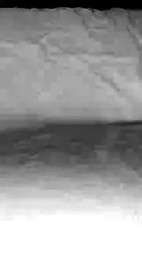 Snapshot of BigAssKi chatting on 3, 2, 2025 BigAssKi online show from 3, 2, 2025