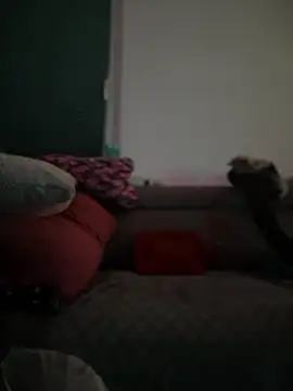 Snapshot of BigBoy420x chatting on 28, 2, 2025 BigBoy420x online show from 28, 2, 2025