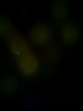 LongDickZee562 online show from 8, 3, 2025