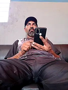 Sergipano fogozinho online show from 3, 12, 2025