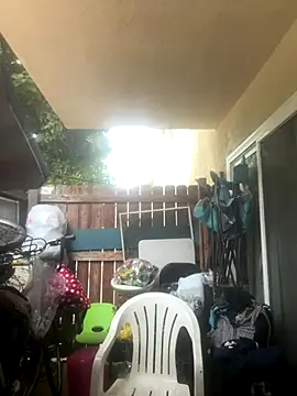 MrDickUdown24 7 online show from 8, 10, 2025