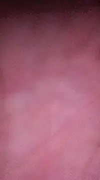 Ajhustler1xh online show from 19, 3, 2025