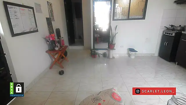 Scarletleon77 online show from 16, 4, 2026