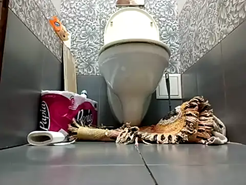 Snapshot of zsd_off chatting on 8, 11, 2025 zsd off online show from 8, 11, 2025