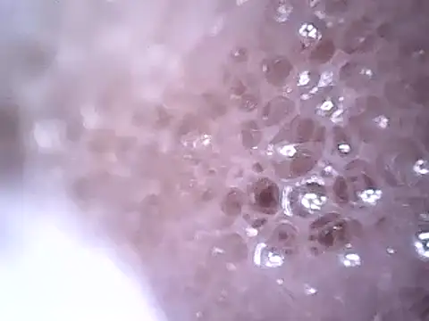 Beijing2000 online show from 19, 12, 2024