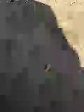 Beijing2000 online show from 27, 1, 2025