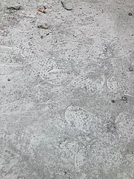 Beijing2000 online show from 11, 10, 2025