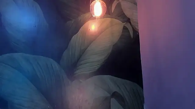 sweett dirty online show from 27, 1, 2025