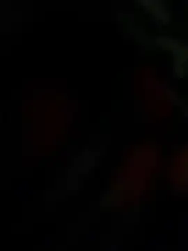 THE-LOVE-BOY online show from 25, 4, 2026