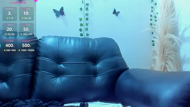 Amani Bakir online show from 10, 11, 2025