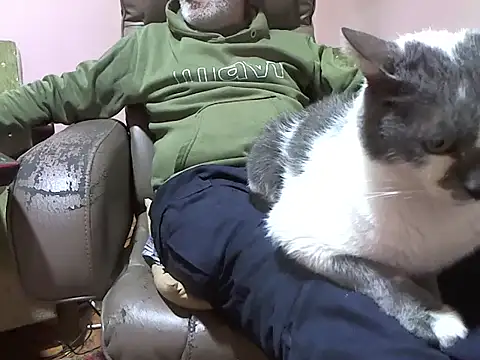 zormen355 online show from 3, 4, 2026