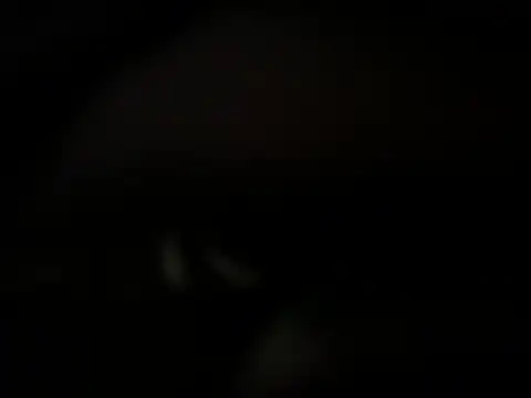 Snapshot of Amarok39 chatting on 2, 12, 2024 Amarok39 online show from 2, 12, 2024