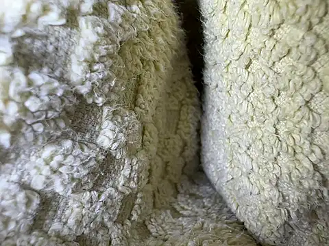 Snapshot of Amarok39 chatting on 13, 2, 2025 Amarok39 online show from 13, 2, 2025