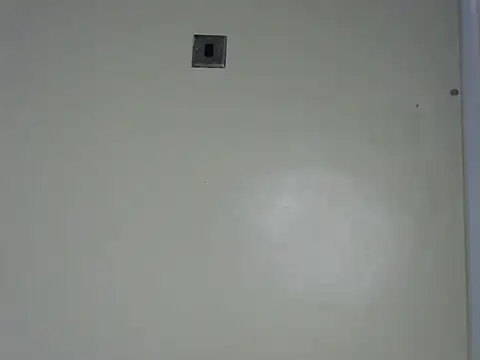 Rasta tattooed online show from 13, 11, 2025