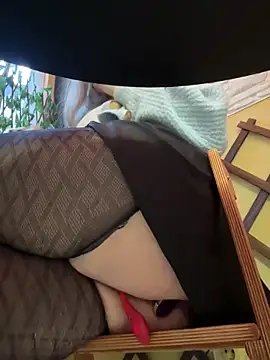 PumaShyXD online show from 15, 12, 2024