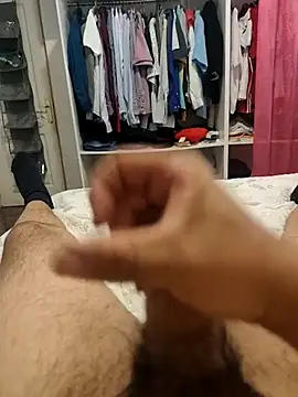 Canario33 online show from 13, 11, 2025