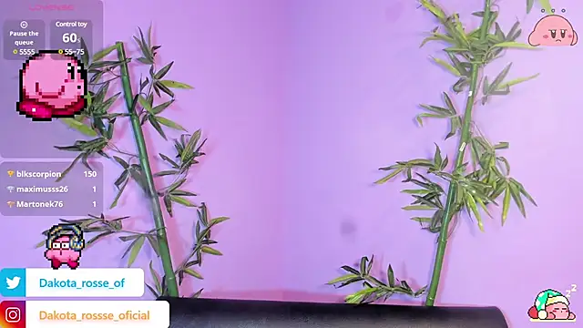 DakotaRosee online show from 17, 2, 2025